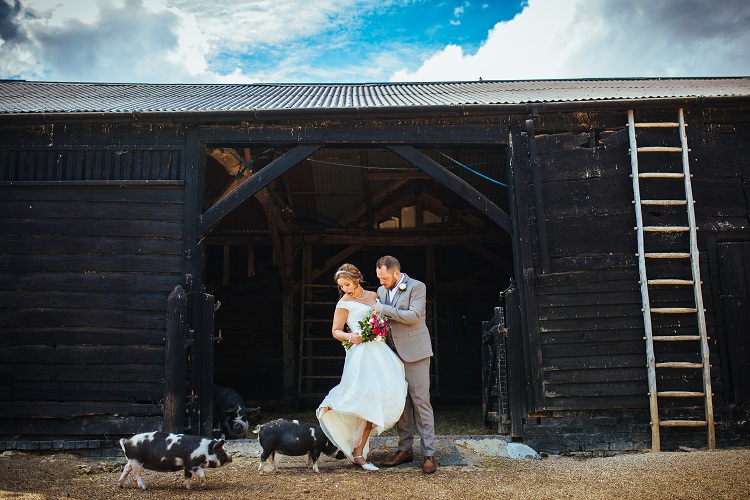 bridebook.co.uk couple and the pigs